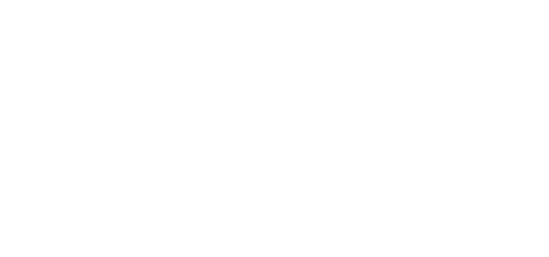 Lavoie White Logo